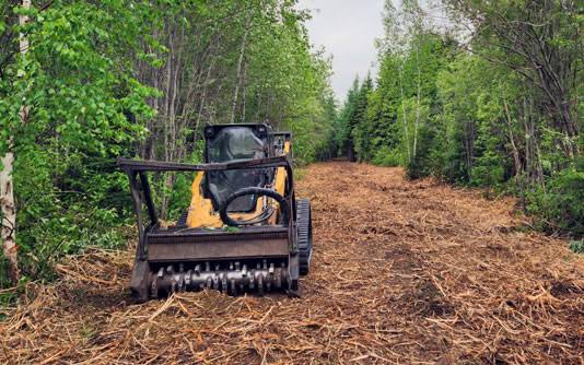Forestry mulcher clearing a wooded trail